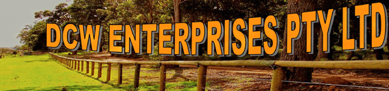 DCW Enterprises